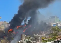 Vídeo: Incêndio atinge área de mata nas dunas do Imbuí, em Salvador