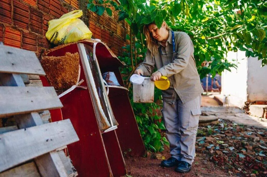 Focos do Aedes aegypti são encontrados em 684 imóveis em uma semana na Capital