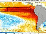 Super El Niño has grown a second ARM: Ominous map reveals how the stretch of warm water in the Pacific Ocean has expanded