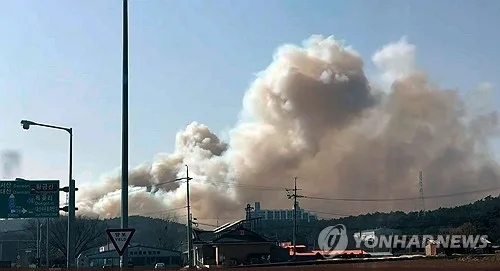 올봄 산불면적 99%↓·사망자 0명…민관 유공자 488점 대거 포상