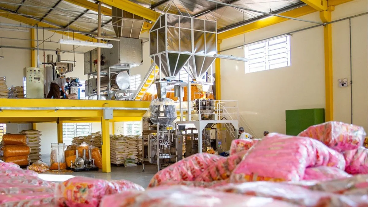 Após sofrer acidente de trabalho em uma mina, pai de 9 filhos buscou renda extra e criou uma das maiores fábricas de snacks de SC