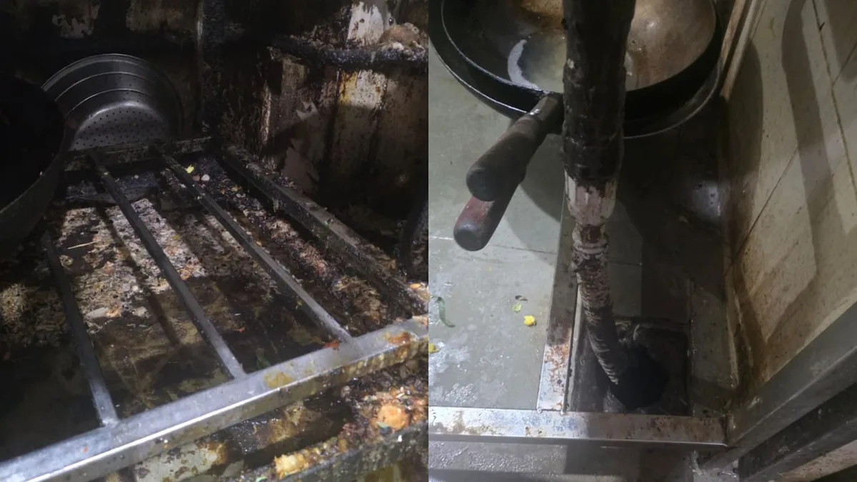 Rats, Roaches, Grease And Open Drains: Mumbai Restaurant's Licence Suspended