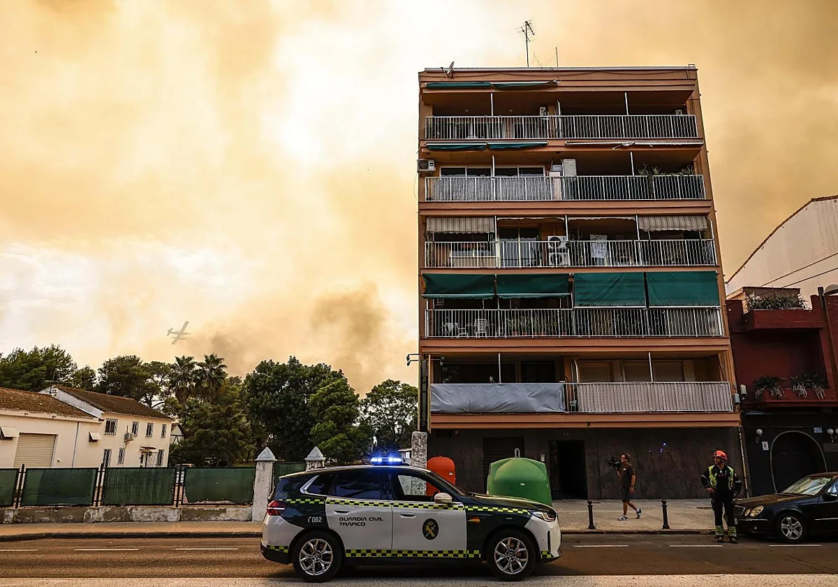 El fuego arrasa 37 hectáreas de la Devesa del Saler y obliga a mantener el desalojo