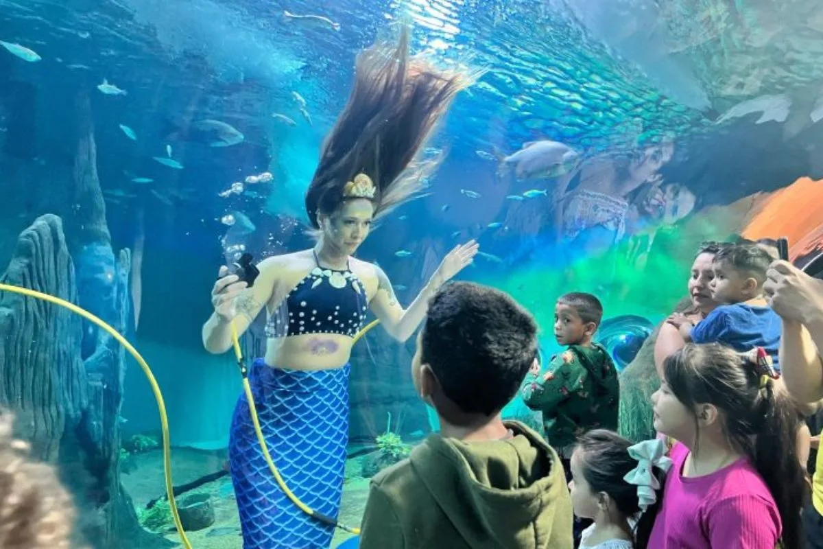 Sereia em aquário e brincadeiras marcam o fim de semana do Dia das Crianças em MS; veja a 'agendinha'