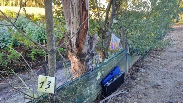 Quatro detidos em Matosinhos por caça ilegal e quatro armas apreendidas