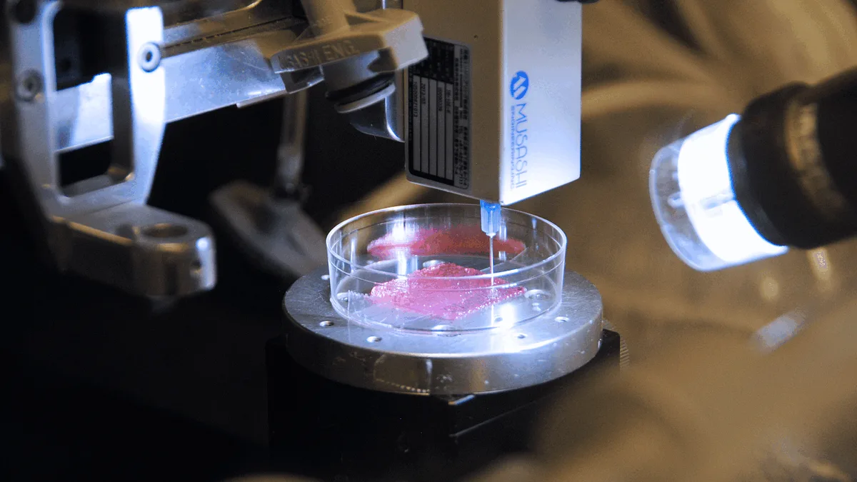 Medizintechnik: Haut aus dem Biodrucker
