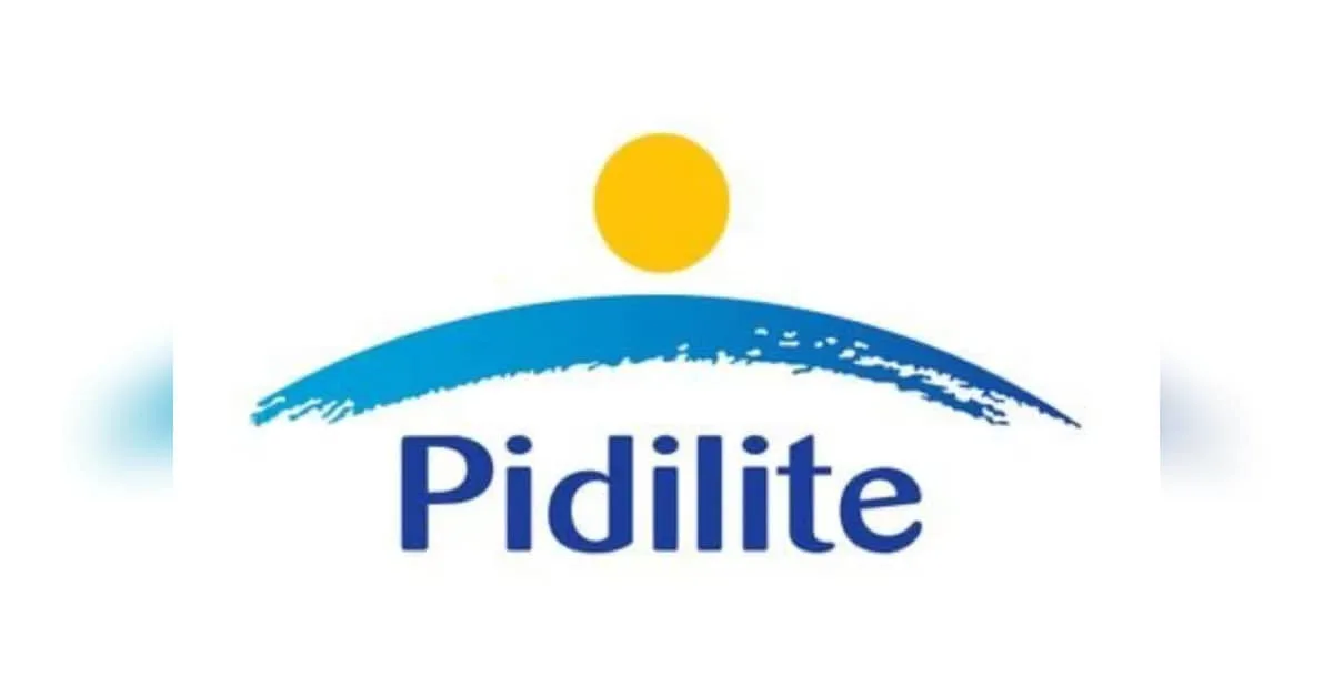 Rising raw material costs may weigh on Pidilite's near-term margins