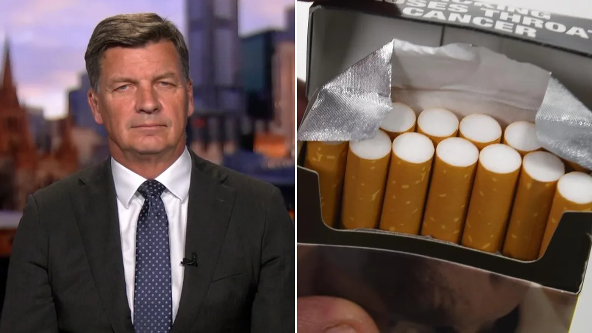 Opposition Leader Angus Taylor lashes out at tobacco policies as he unveils plan to legalise vapes and slash excise
