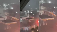 Granizo atinge Sul de Minas aumenta temor em lavouras de café e pastagens