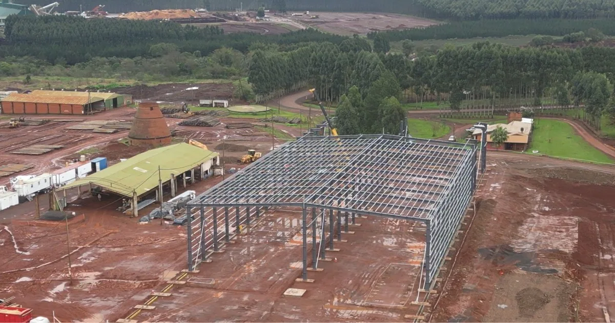 Desafía al clásico ladrillo: invierten US$ 20 millones para traer al país un sistema inédito de construcción con maderas