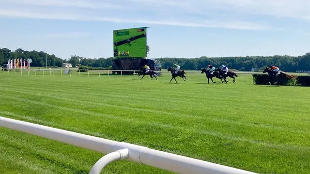 Galopprennen: Setzt Daring Fire seine Siegesserie in Hoppegarten fort?