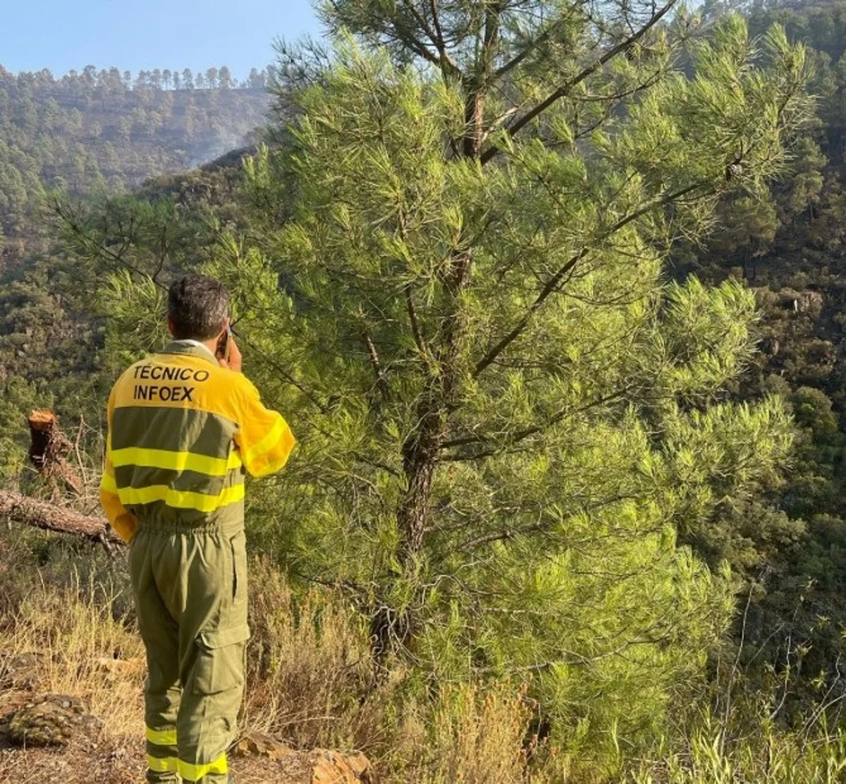 Más de 50 efectivos continúan con las labores de extinción del incendio de Pinofranqueado (Cáceres)