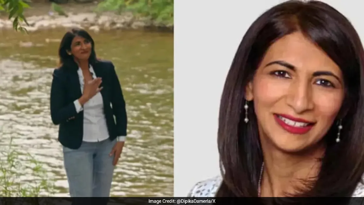 Indian-Origin Dipika Damerla Deletes Bollywood-Style Mayoral Campaign Video, Explains Why