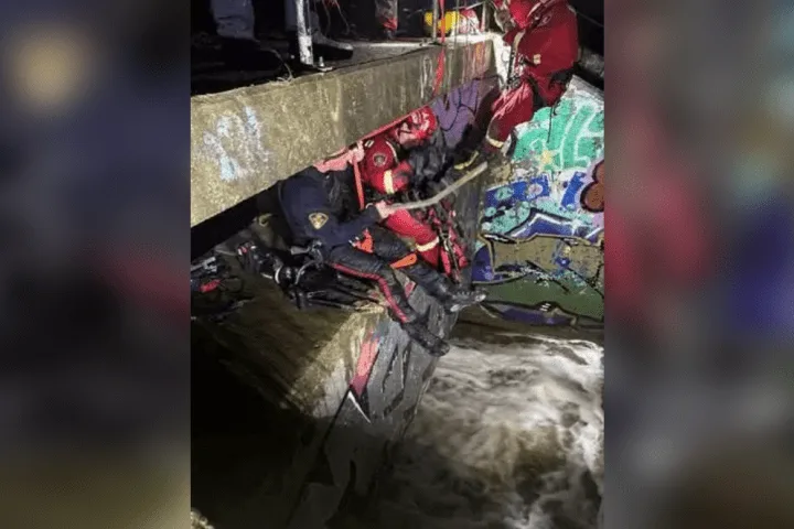 Man rescued from storm drain at Saskatoon dog park