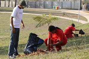 Cabe penhora do pecúlio do preso para pagar pena de multa, decide STJ