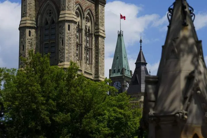 Canadian tribunal says wheat gluten dumping is likely hurting industry