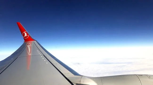 Самолет Turkish Airlines экстренно сел в Минске из-за дебошира