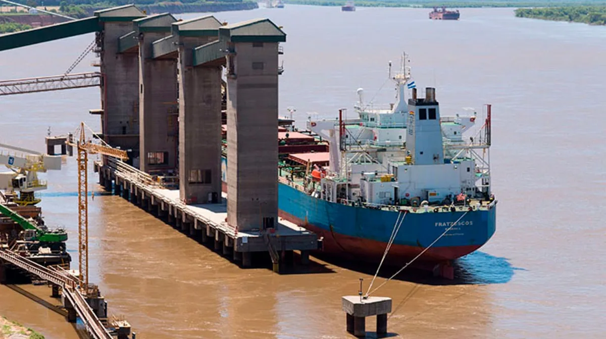 Vietnam gana protagonismo en el comercio mundial y afirman que es un “socio clave” para el agro argentino