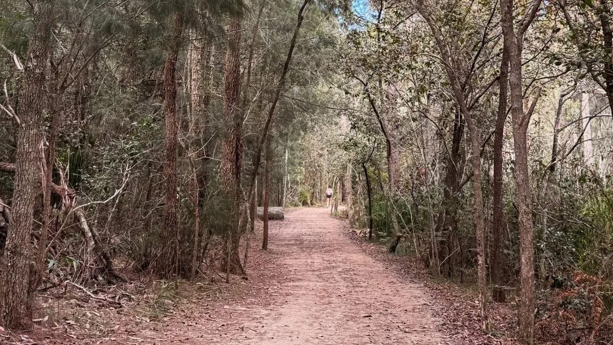 Hunt after three women targeted on popular Sydney walking track