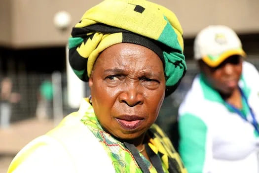 Dlamini-Zuma retracts vote-buying claims against Ronald Lamola