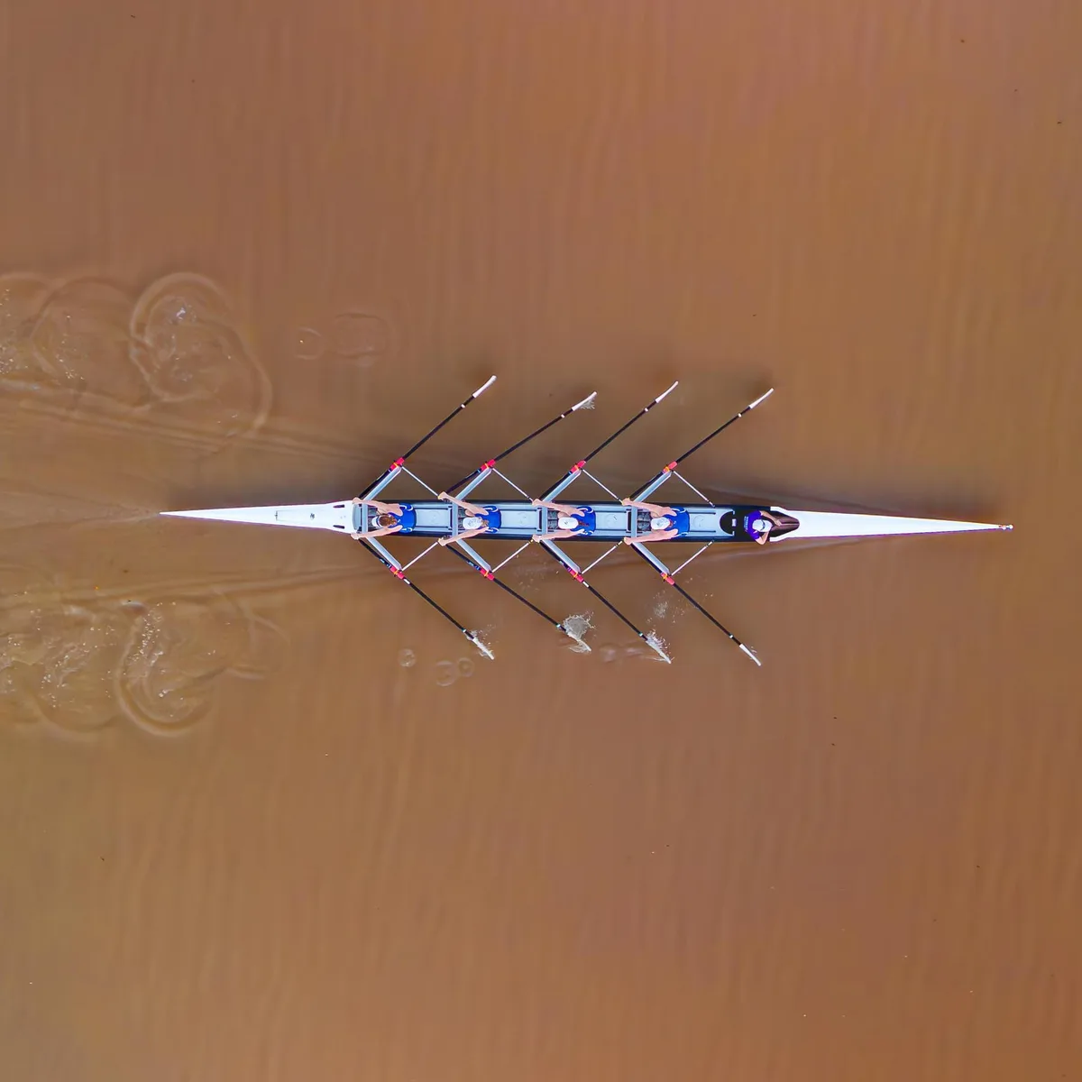 Australien - Fluss mit Krokodilen wird Ruderstrecke bei Olympischen Spielen 2032