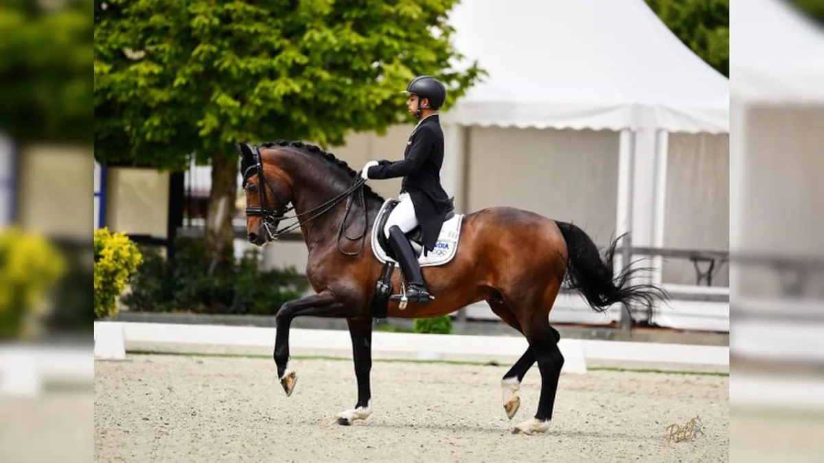 International Equestrian Federation Bans Indian Riders, Officials From International Events