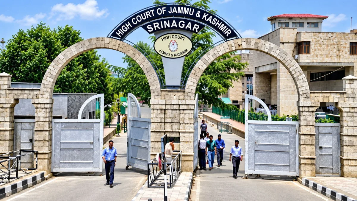 Detention can’t rest on mere labels: J&K court on man labelled ‘Lashkar OGW’