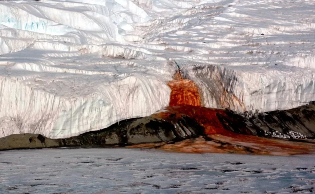 Cientistas encontram sinais de vida marinha antiga escondidos sob o gelo das misteriosas Cataratas de Sangue da Antártida