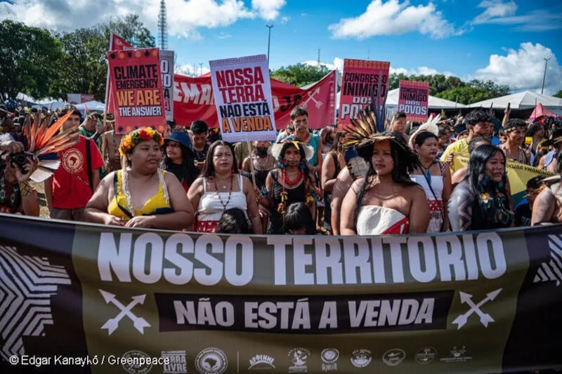 Amazonas registra 47 assassinatos e 77 suicídios de indígenas em 2025, aponta Cimi