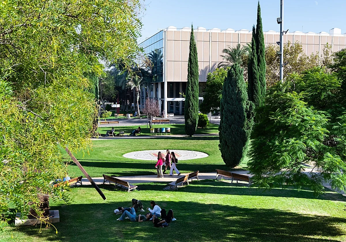 La mejor universidad de España para estudiar Ingeniería Civil, Ciencias Agrícolas, Química e Ingeniería Energética