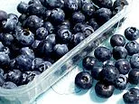 Blueberry recall upgraded to FDA's highest risk level... 'reasonable probability of death'