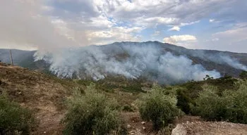 Incêndios em Portugal. A situação ao minuto