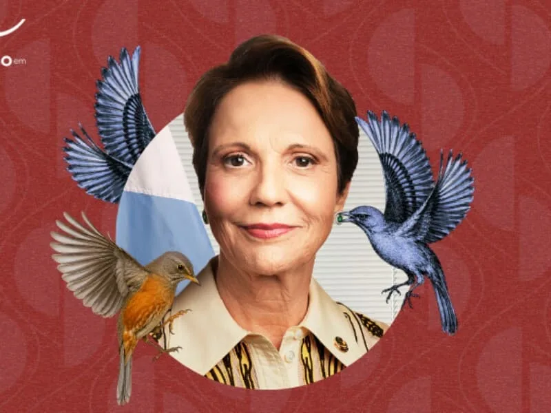 Tereza Cristina está entre senadores bem avaliados por jornalistas
