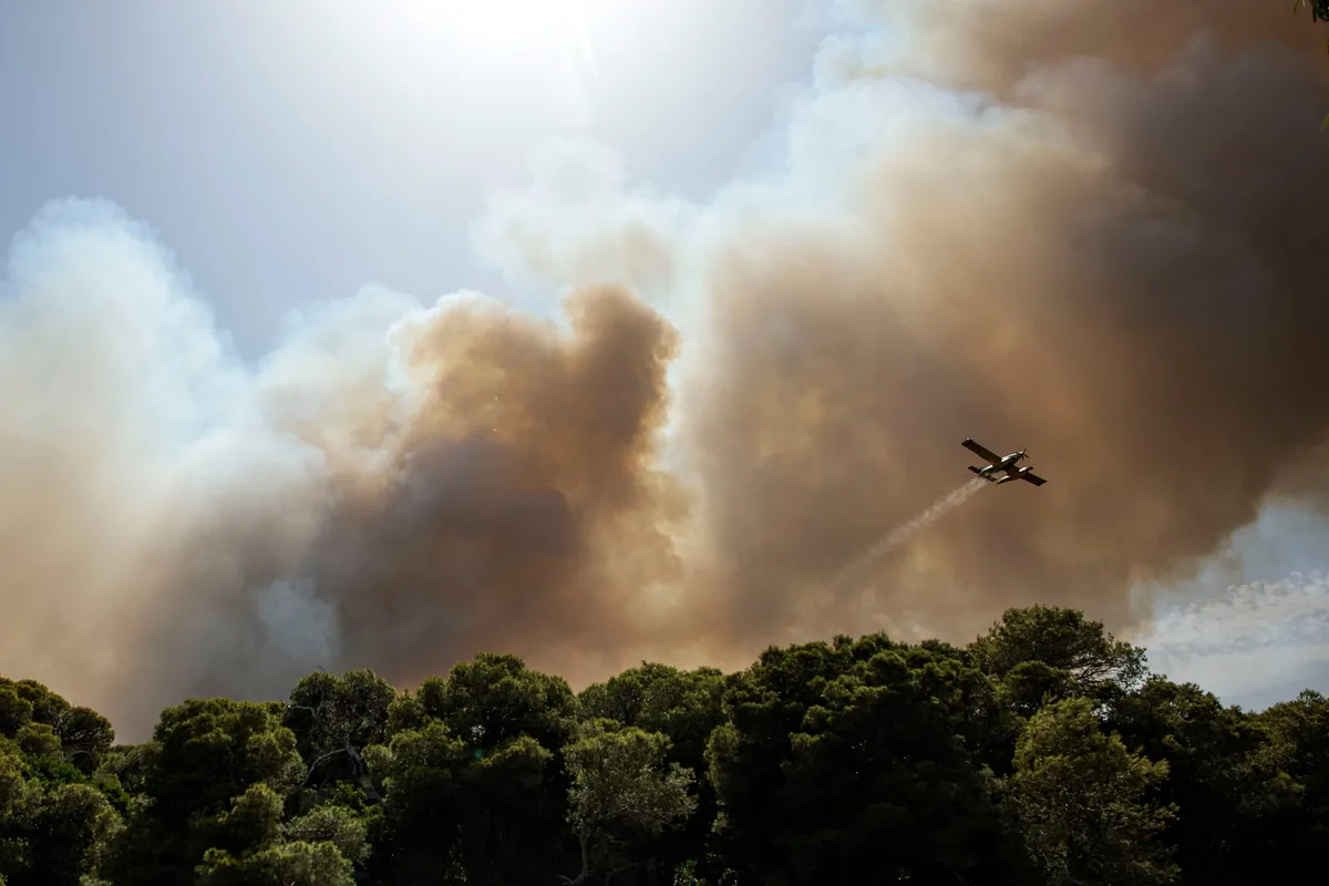 Un incendio en la Devesa de El Saler, en Valencia, obliga a evacuar preventivamente el pueblo, los camping y una torre de apartamentos