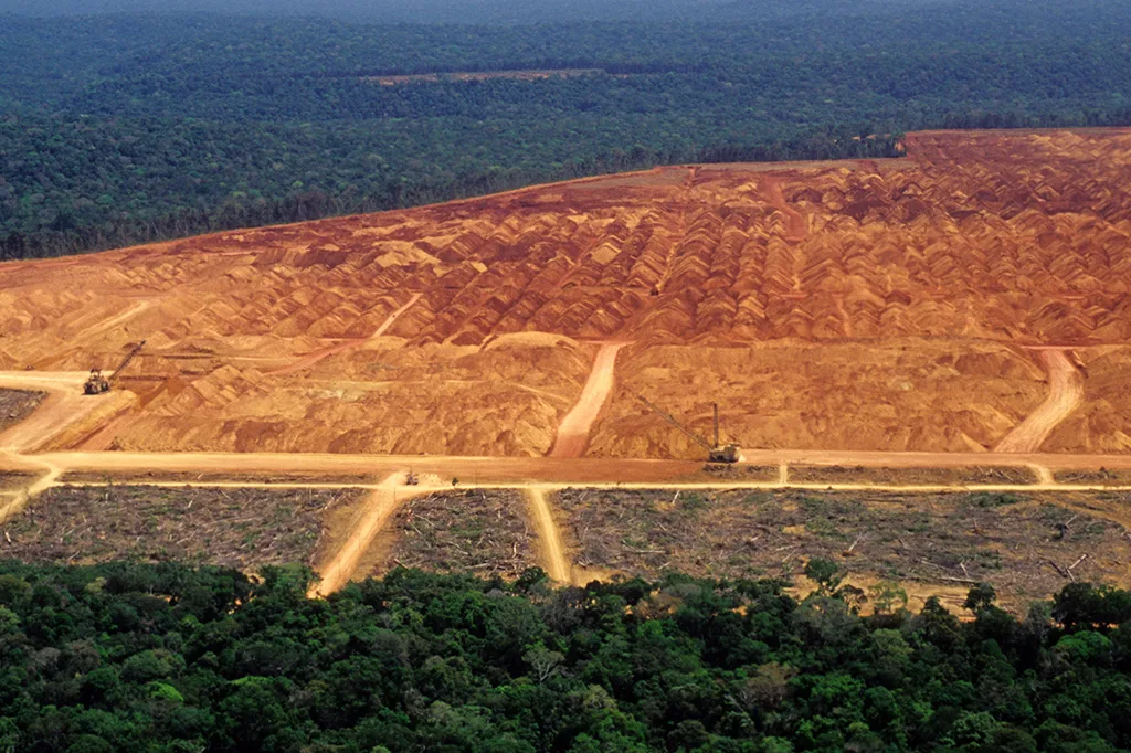 Desmatamento na Amazônia e no Cerrado cai para o menor nível da série histórica
