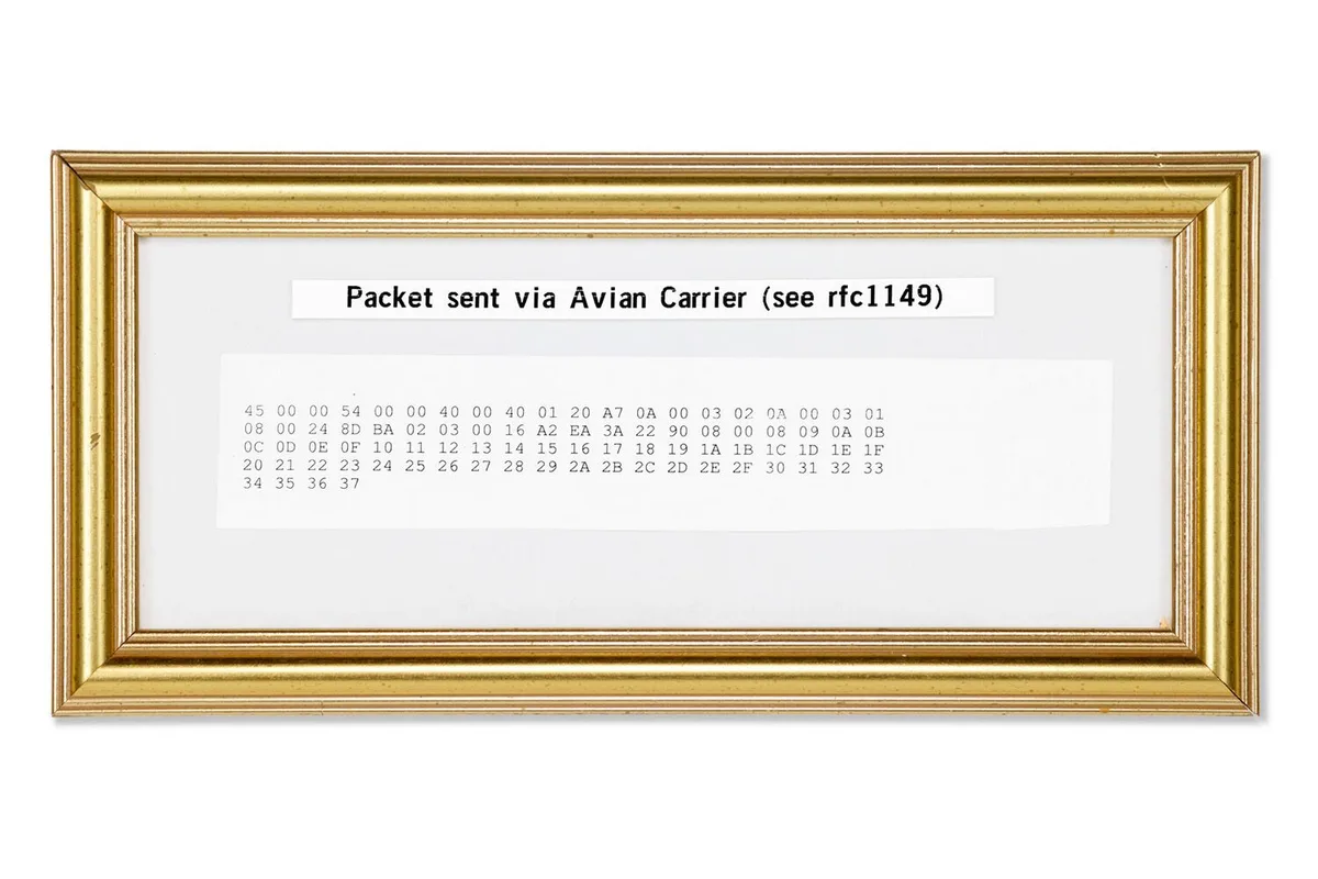 Um pacote de Internet movido a pombo vai a leilão. Sim, um pacote TCP/IP