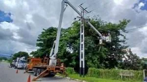Despejan líneas eléctricas con pica y poda en 4 comunidades de Yaracuy
