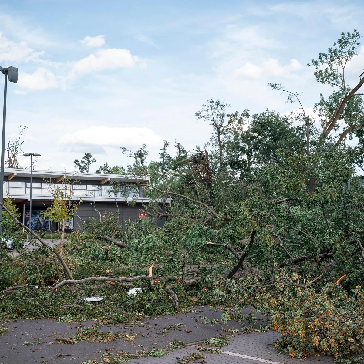 Gewitter - Zwei Tote bei Unwettern mit Tornados in Thüringen und Rheinland-Pfalz
