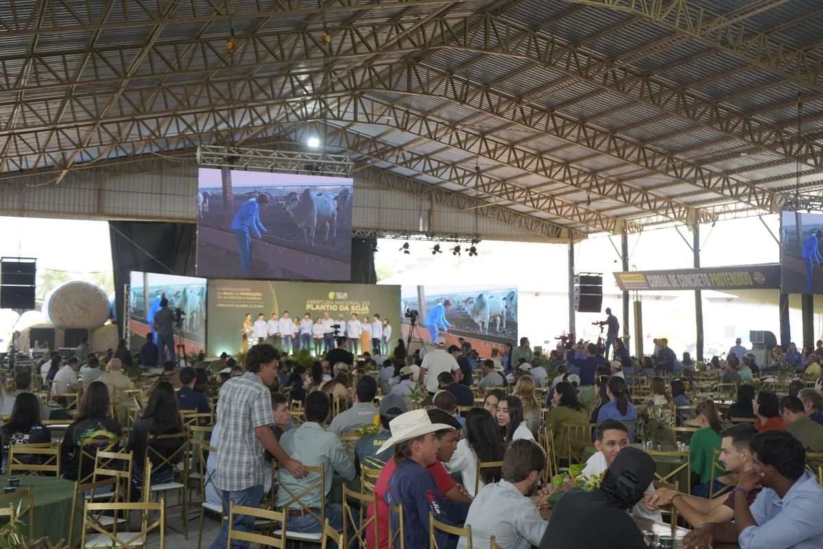 ‘Precisamos verticalizar a cadeia da soja para gerar mais valor na propriedade’, afirma diretor da Fazenda Horizontina