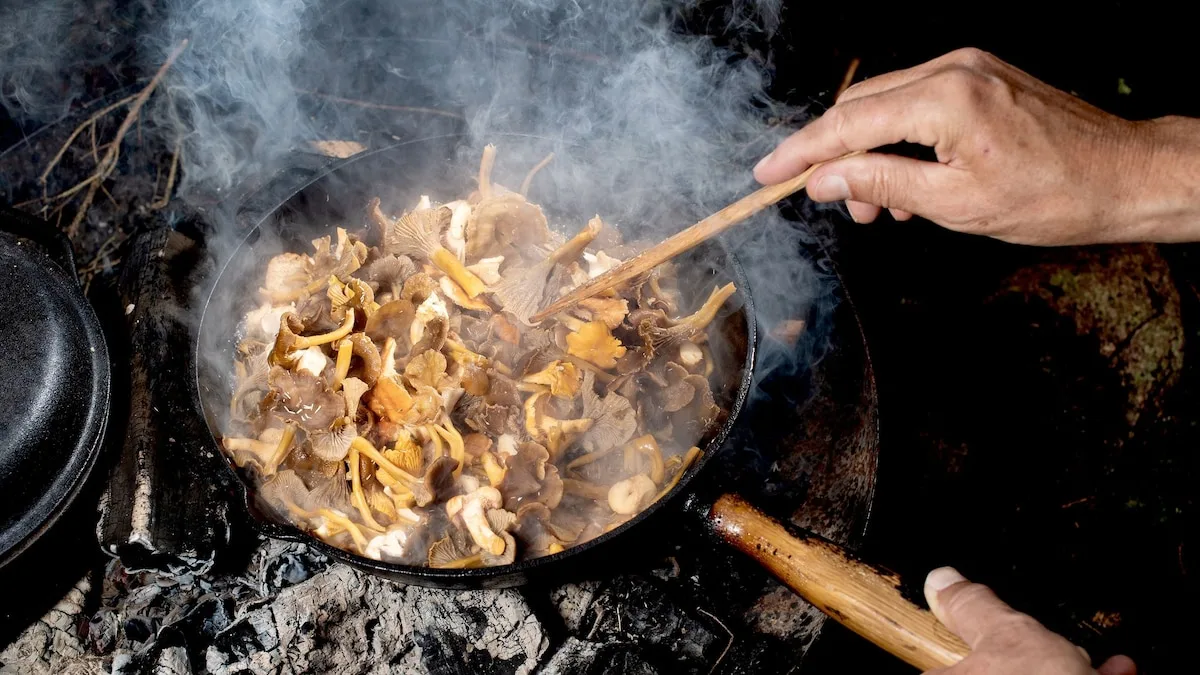 Egal, was im Rezept steht: Kochen Sie Waldpilze 15 Minuten
