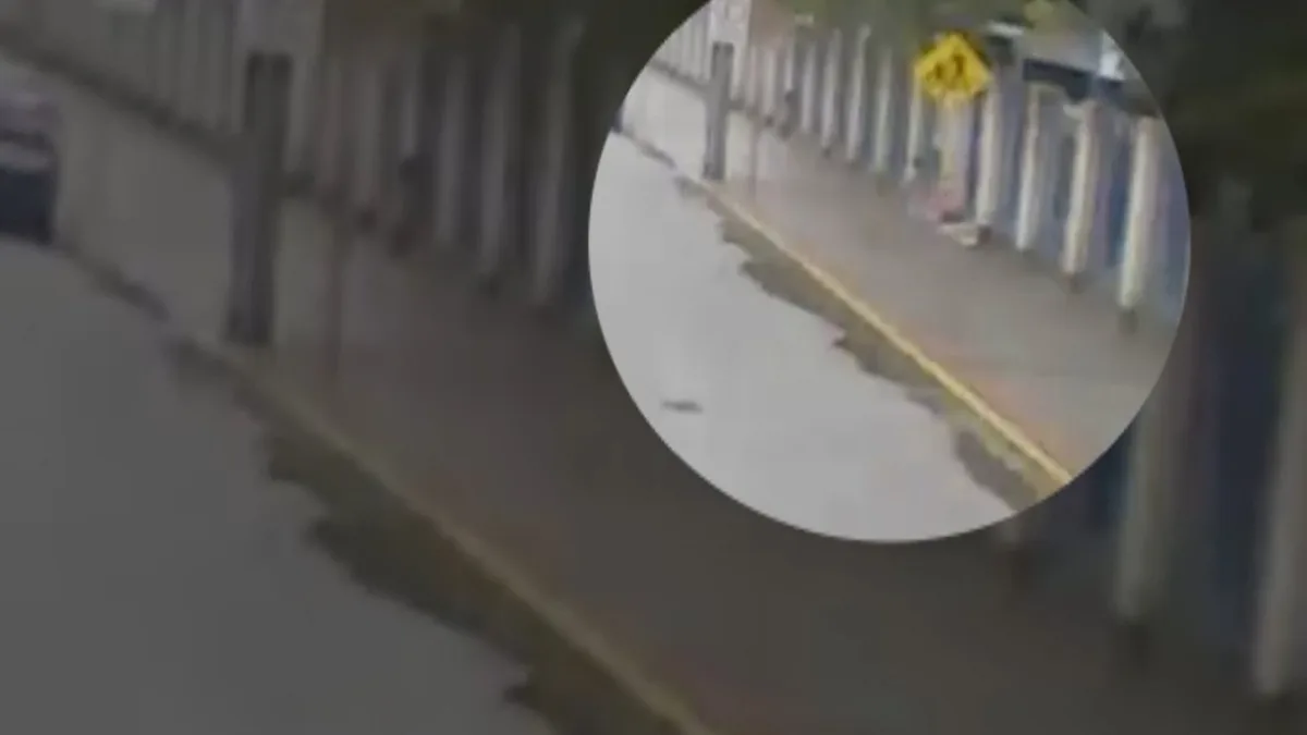 VÍDEO: Câmera flagra criança de 3 anos saindo de creche e caminhando por avenida em Florianópolis
