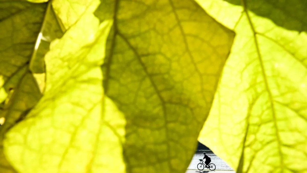 Herbstleuchten
