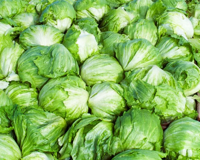 US officials declare multi-state cyclospora outbreak over