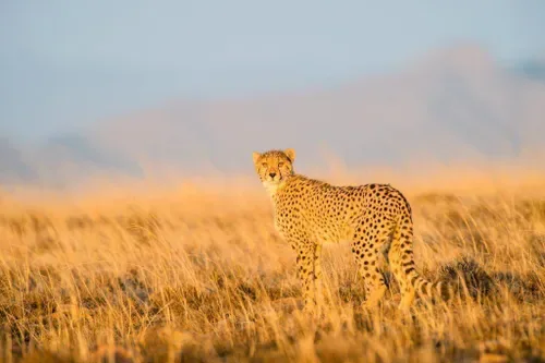 Free entry to selected SANParks destinations from September 7 to 13