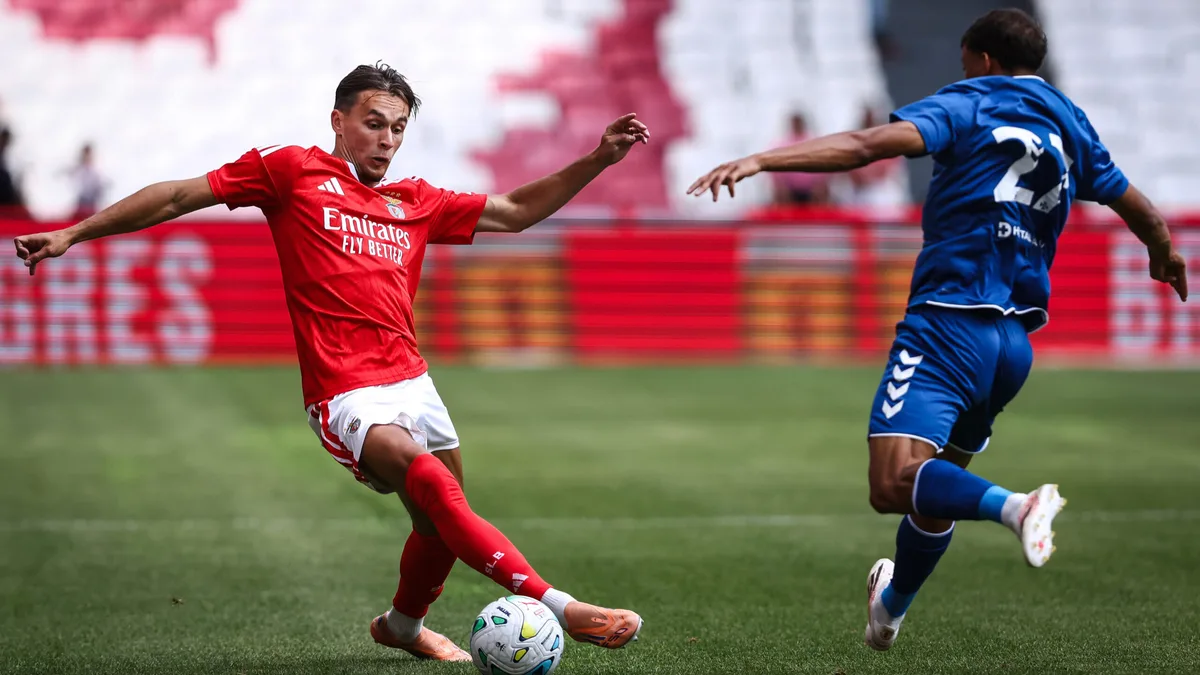Amar Dedic deixa o Benfica e ruma ao Newcastle por 35,9 milhões de euros