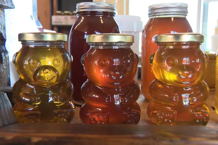 B.C.’s honey producers brace for the sting of 50% new tariff from the U.S.