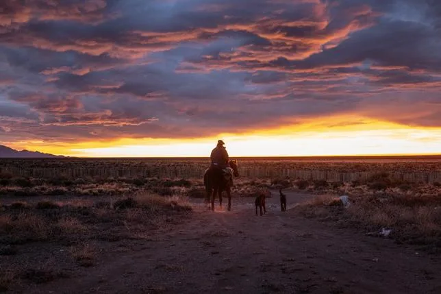 Pour échapper à l’apocalypse, les ultra-riches ont un plan : un ranch en Argentine