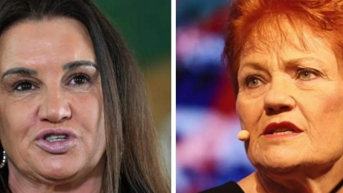 ‘Nastiness’: Lambie responds to One Nation cartoon mocking her health battle