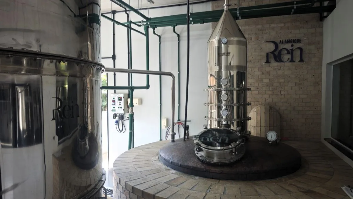 Como Luiz Alves, capital catarinense da cachaça, fatura com garrafas de até R$ 1.000 e Selo de Origem