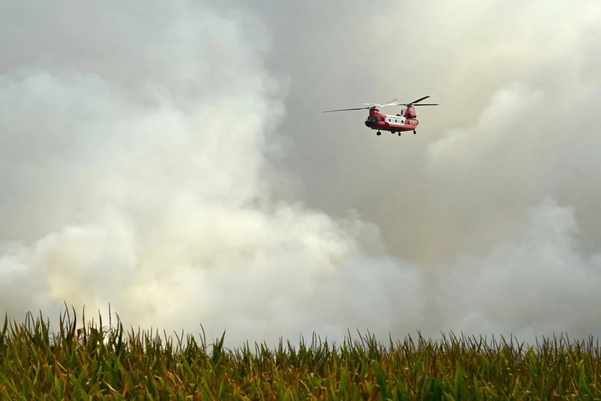 Australia braces for bushfires in almost every state as El Niño strengthens